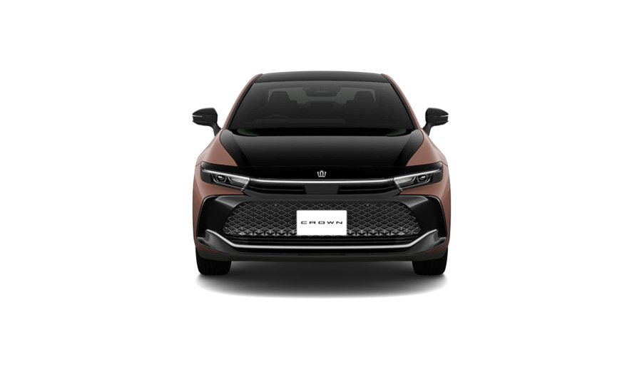 ブラック〈227〉×プレシャスブロンズ〈4Y6〉［2XZ］フロント